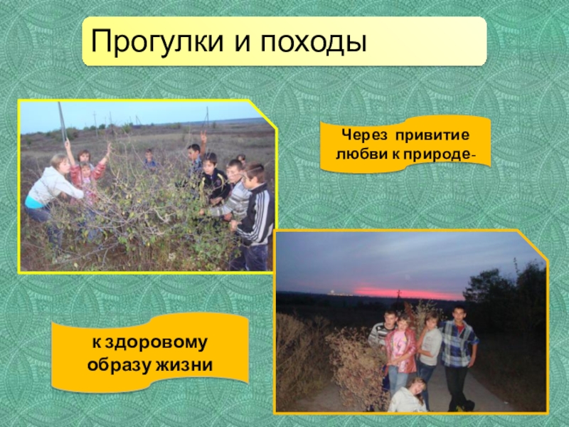 Презентация Портфолио воспитателя коррекционной школы к здоровому образу жизниЧерез привитие любви к природе- к здоровому образу жизниЧерез привитие любви к природе-
