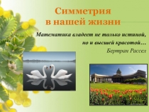 Презентация к уроку в 6 классе Симметрия в нашей жизни