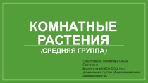 Комнатные растения (средняя группа)