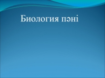 Презентация Асқорыту жүйесінің құрылысы