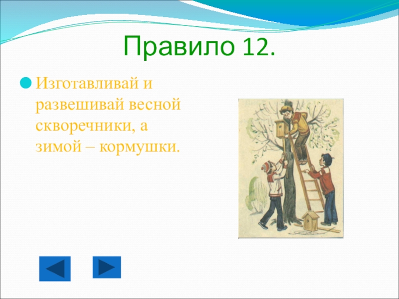 Правила вежливости в гостях у природы Правило 12.Изготавливай и развешивай весной скворечники, а зимой – кормушки. Правило 12.Изготавливай и развешивай весной скворечники, а зимой – кормушки.