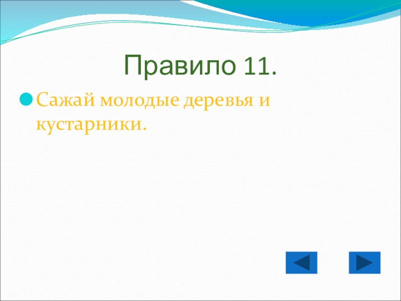 Правила вежливости в гостях у природы Правило 11.Сажай молодые деревья и кустарники. Правило 11.Сажай молодые деревья и кустарники.