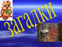 Презентация для дошкольников Загадки