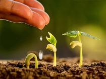 Презентация по литературному чтению Поляна сказок 1кл