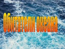 Презентация по познавательному развитию на тему Обитатели океанов (старшая/подготовительная группа)