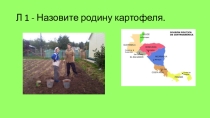 Презентация по биологии на тему БОБОВЫЕ