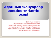 Презентация Адамның жануарлар әлеміне тигізетін әсері