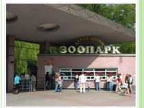 Окружающий мир Красная книга