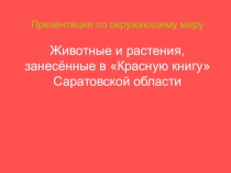 Презентация по окружающему миру