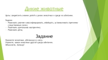 Презентация по познавательному развитию для старшего дошкольного возраста Четвертый лишний