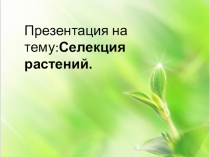 Презентация по биологии на тему Селекция растений