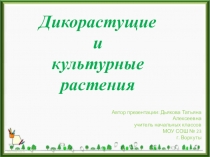 Презентация по окружающему миру на тему Дикорастущие и культурные растения
