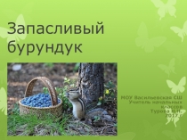 Презентация к внеурочному занятию на тему Запасливый бурундук