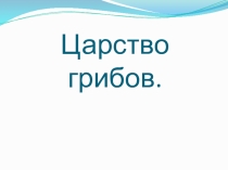 Презентация по биологии на тему: царство грибы.
