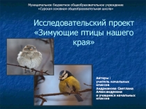 Презентация по окружающему миру
