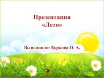 Презентация по экологии на тему Лето