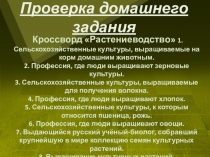 Презентация по географии на тему Животноводство