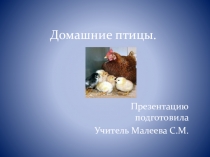 Презентация №2 к конспекту урока по развитию речи и окружающему миру ( 2 кл)