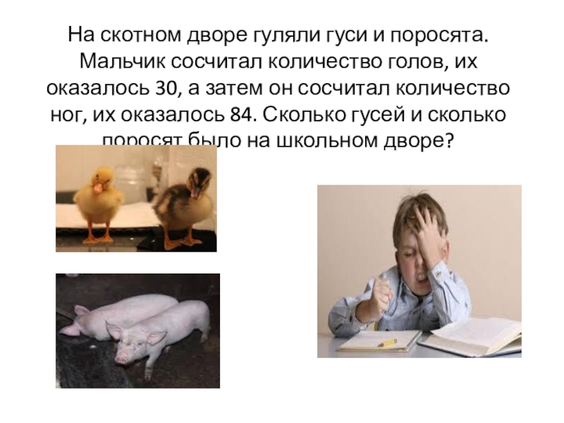 Презентация по математике Нестандартные задачи На скотном дворе гуляли гуси и поросята. Мальчик сосчитал количество голов, На скотном дворе гуляли гуси и поросята. Мальчик сосчитал количество голов, их оказалось 30, а затем он