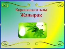 Дүниетану 2 сынып Жапырақ