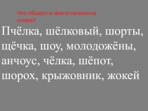Презентация по русскому языку на тему Буквы О и Ё в корне слова