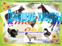 Презентация Домашние животные. Кто и что даёт. Окружающий мир.