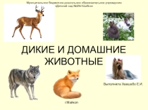 Презентация Дикие и домашние животные