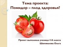 Презентация Помидор – плод здоровья?