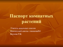 Презентация : Паспорт комнатных растений