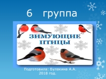 Презентация по проектной деятельности Зимующие птицы