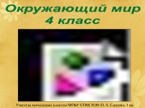 Презентация по окружающему миру Масштаб и его использование