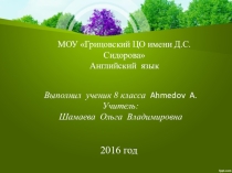 Презентация по английскому языку на тему Environment pollutions