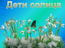 Презентация по окружающему миру Первоцветы