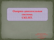 Презентация по окружающему миру на тему Опорно-двигательная система. Скелет