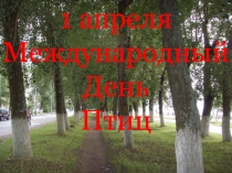 День птиц