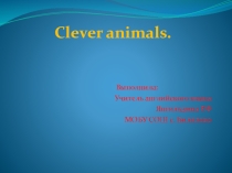 Презентация по английскому языку на тему  Clever animals