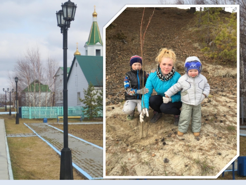 Презентация экологической акции Посади дерево