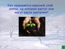 Презентация к уроку по окружающему миру Лес и человек