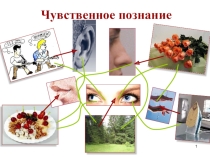 Урок 1 , глава 2