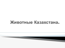 Презентация по английскому языку Животные Казахстана