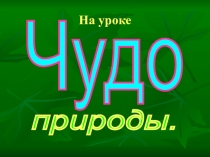 Презентация для 2 класса  Семена и плоды