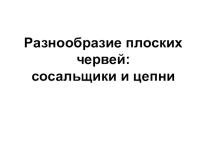 Презентация по биологии на тему Разнообразие Плоских червей (7 класс)