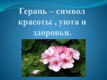 Герань