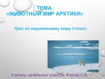 Презентация по окружающему миру на тему Животные Арктики (3 класс)
