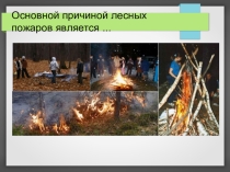 Материалы к уроку ОБЖ по теме Профилактика лесных и торфяных пожаров, (7 класс)