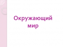 Презентация по окружающему миру на тему: Новейшее время (4 класс)