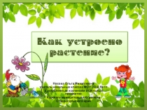 Презентация по теме Почемучка Как устроено растение?