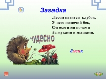 Презентация к уроку по русскому языку Изложение Ёжик делает запасы для детей с ЗПР 4 класс
