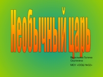 Презентация по окружающему миру на тему: Необычный царь - Пётр 1(4 класс)