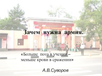 Социологическое исследование в необходимости армии